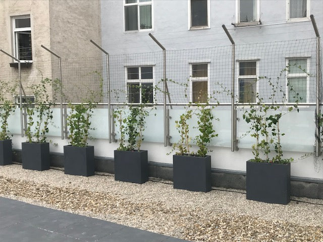 Edelstahl Geländer mit Glasfüllung